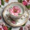 A teacup with a delicate floral pattern, steeping fragrant herbal tea1