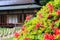 Teahouse in Meiji Jingu park, Tokyo, Japan