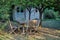 Teak garden furniture in the private garden on wooden hut background