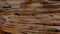 Teak wood texture is damaged by termites