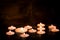 Tealight candles on dark wooden background