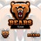 Team bears mascot logo. Modern sport logotype