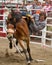 Team Bronc Riding -PRCA Sisters, Oregon Rodeo 2011