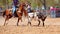 Team Calf Roping At Country Rodeo