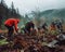 A team of dedicated individuals braves the weather to plant trees on a misty, mountainous landscape, aiding in reforestation and