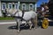 The team of horses with coachman and two children in small russian city Kolomna
