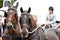 A team of horses at the farmers` market in Mondsee