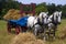 Team of Horses Pulling Farm Hay Wagon