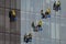 A team of industrial climbers who wash windows and sanitize glazed surfaces in Romania