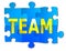 Team Jigsaw Puzzle Illustration Isolated