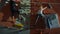 The team of a man and a woman train in the gym of the climbing wall