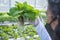 A team of scientists analyzes plants on vegetable trays. Hydroponics process in the laboratory Agricultural engineers test plant