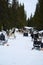 Team of sled dogs are pulling a sled through a snow covered landscape