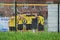 team of soccer players in yellow shirts stands tightly at the gate. soccer game. football