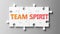 Team spirit complex like a puzzle - pictured as word Team spirit on a puzzle pieces to show that Team spirit can be difficult and