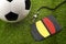 Team sports, rules official gear and athletics competition conceptual idea with soccer ball, yellow and red referee cards and