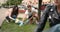 Team of volunteers picking up litter in park