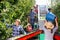 Team of workers pick ripe apples and place them on sorting platform