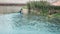 Team of a young men on rowing kayak on lake during competition