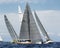 Teams competing on Maxi Yacht Rolex Cup sail boat race in Sardinia