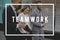 Teamwork Alliance Agreement Company Partners