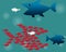 Teamwork Concept,Big Fish chasing Small fish