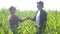 Teamwork happy family smart farming concept slow motion video. Girl and man shake hands meeting business contract