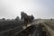 Teamwork: Mexican peasant farmer and his horse in the preparation of amaranth cultivation