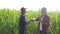 Teamwork smart farming husbandry concept slow motion video. Two men agronomist two farmers shake hands teamwork business