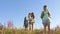 Teamwork travelers. Happy mom and daughters, a little baby travel across field with backpacks in colors in summer