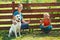 Teamwork - woman with little girl and dog painting a fence