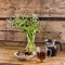 Teapot, cup of tee, plate with cookie and a vase with flowers against the background of the old wooden walls