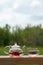 Teapot with fragrant herbal tea on a background of nature