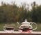 Teapot with fragrant herbal tea on a background of nature