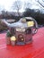 Teapot house ornament red wooden table scenic