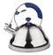 Teapot stainless steel with whistle