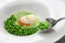 Tear peas with poached egg, spanish basque cuisine