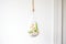 teardrop terrarium hanging against a white wall