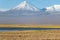 Tebinquinche Lagoon in Atacama Salt Flat, Chile