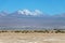 Tebinquinche Lagoon in Atacama Salt Flat, Chile