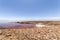 Tebinquinche lagoon, Salar de Atacama, Chile