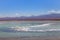 Tebinquinche lagoon, Salar de Atacama, Chile