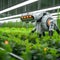 Tech savvy farming Robots in agriculture showcase smart farm automation concepts