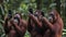 Tech-Savvy Troupe: Orangutans Embrace the Digital Age