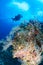 Technical Divers on a deep tropical coral reef