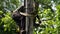 technician climbing the electric poles and connecting wires