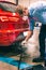 A technician doing an emission control of a security inspection of a vehicle protected with a mask and gloves to prevent the