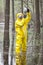 Technician examining sample of water in floods area