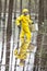 Technician in professional uniform with silver suitcase  in contaminated  floods area