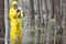 Technician in protective coveralls taking  sample of water to plastic  container